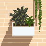 Dining Room Wall Planters